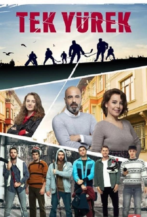 Зимородок турецкий сериал актеры и роли фото